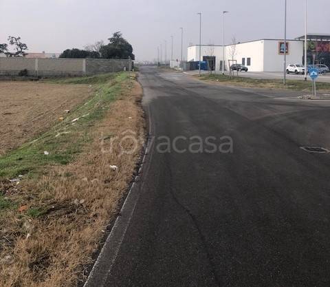 immagine annuncio 4 di 11
