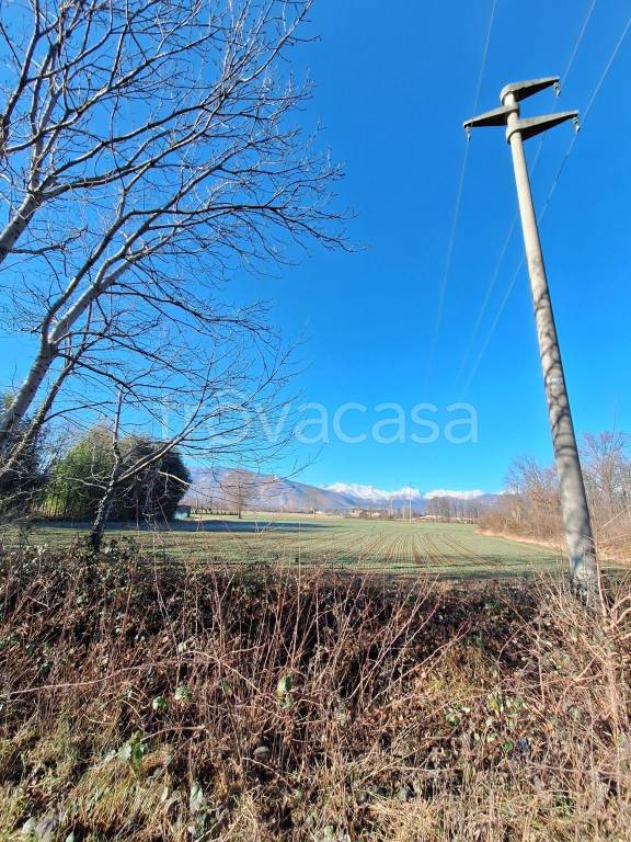 immagine annuncio 2 di 11