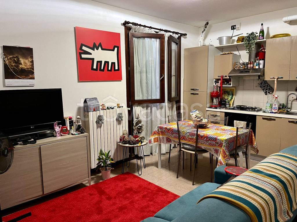 immagine annuncio 3 di 14