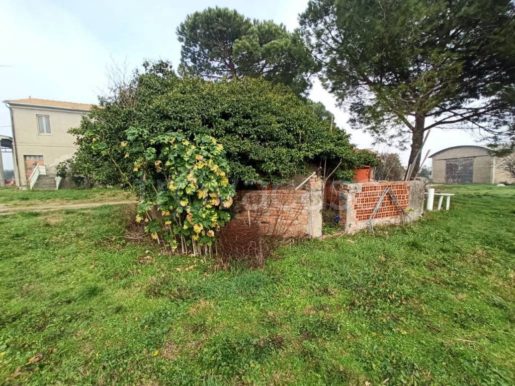 immagine annuncio 4 di 11