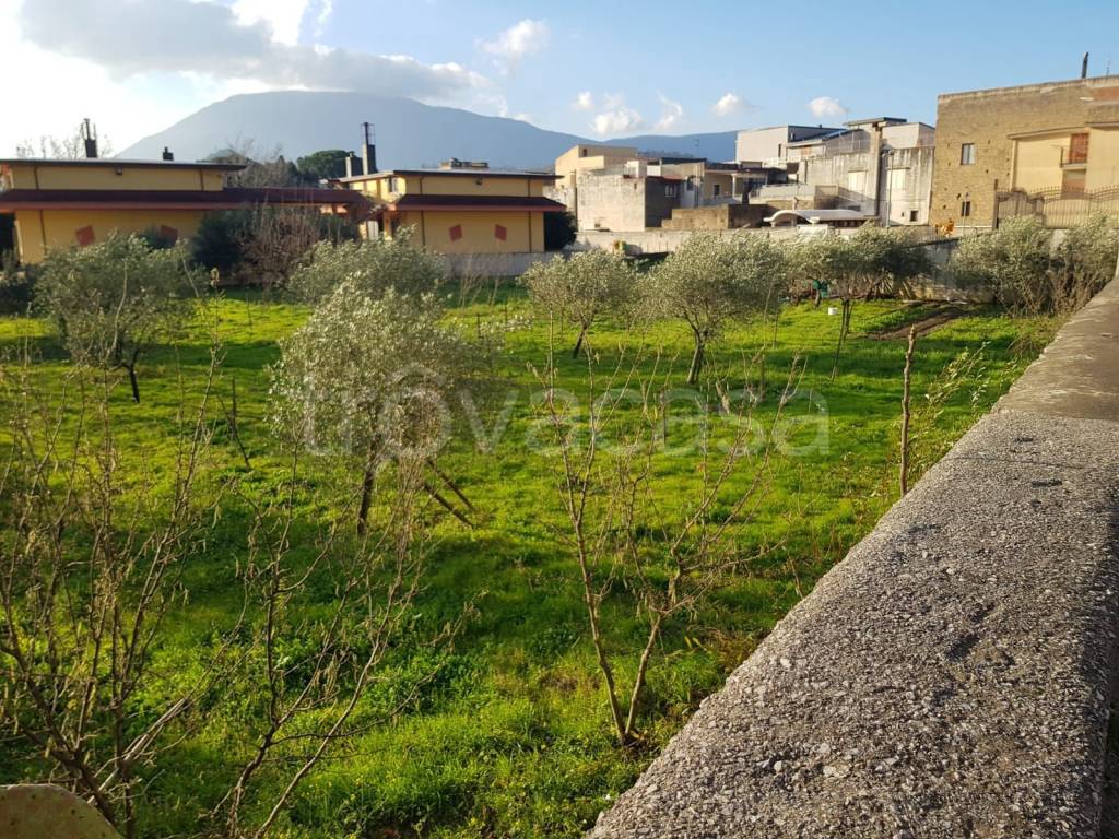 Terreno Agricolo in vendita a Castel San Giorgio via Piave