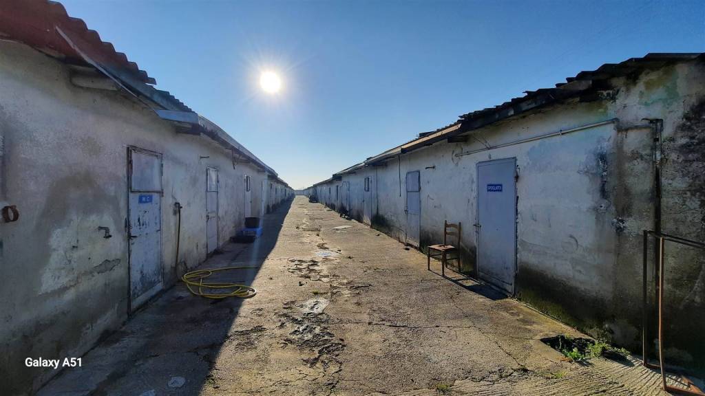 immagine annuncio 3 di 13
