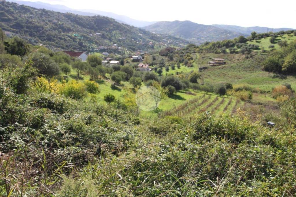 Terreno Agricolo in vendita ad Agropoli via fuonti