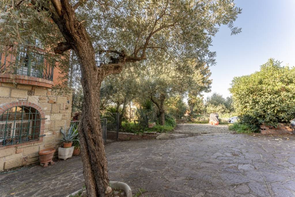 Villa in vendita a Marino vicolo Santo Spirito