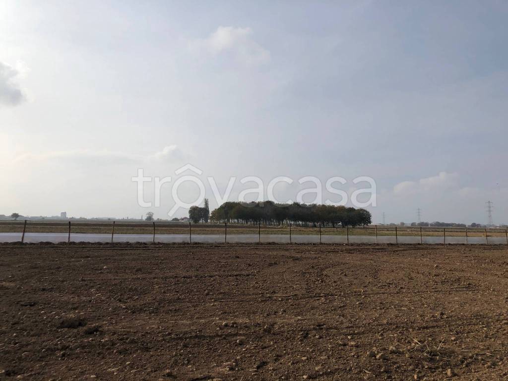 Terreno Agricolo in vendita a Centallo regione Crosia