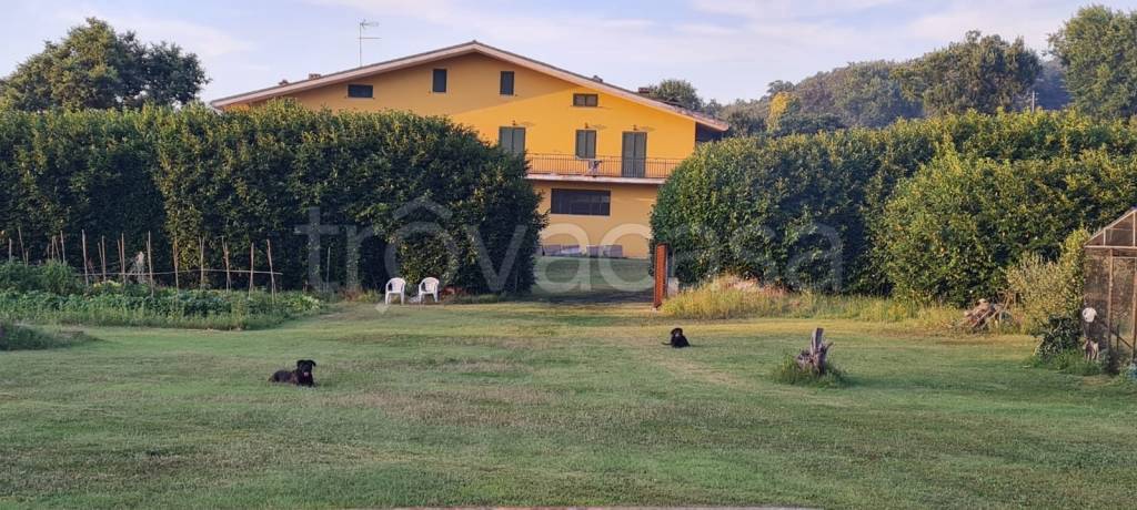 Villa Bifamiliare in in affitto da privato a Faleria strada Provinciale Falisca
