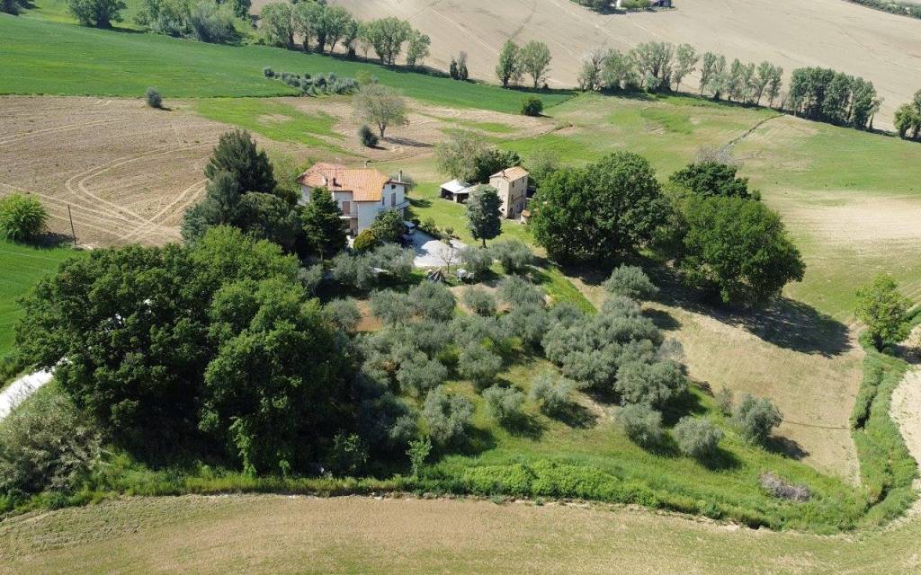Villa Bifamiliare in vendita ad Arcevia frazione Montale, 138