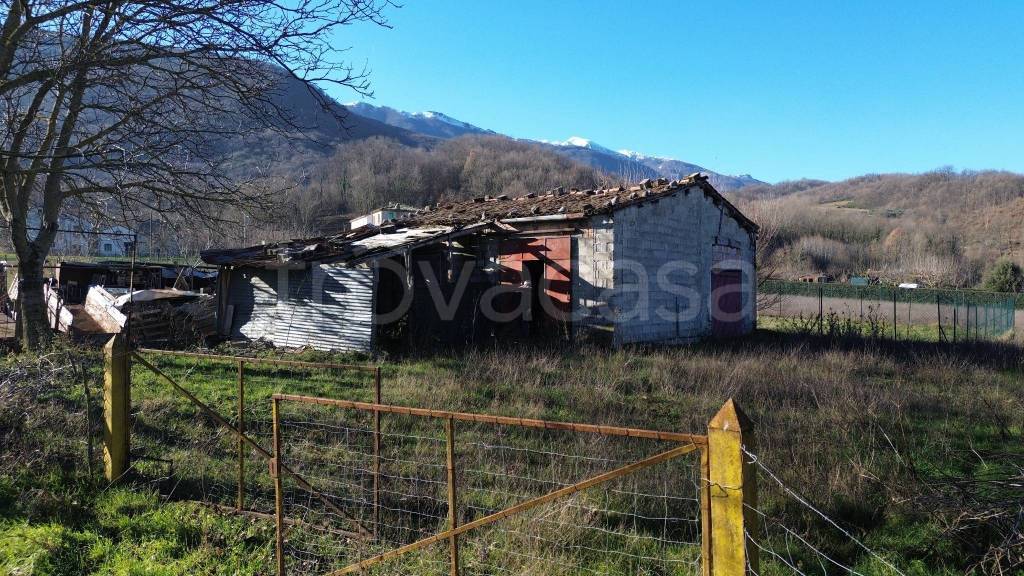 immagine annuncio 2 di 11