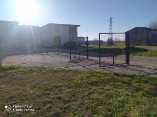 Terreno agricolo in affitto ad alife via comunale 158 direzione sud