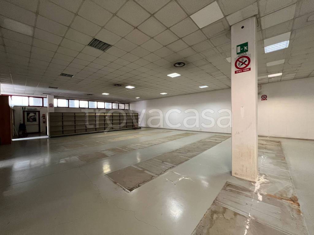 immagine annuncio 4 di 6