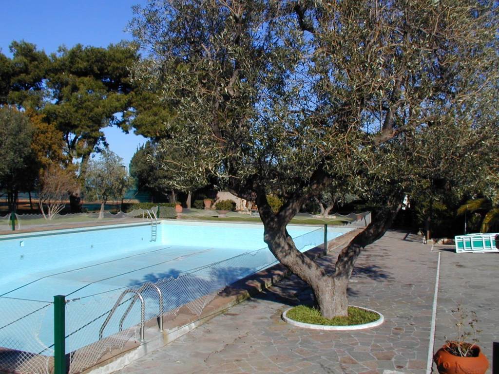 immagine annuncio 1 di 8