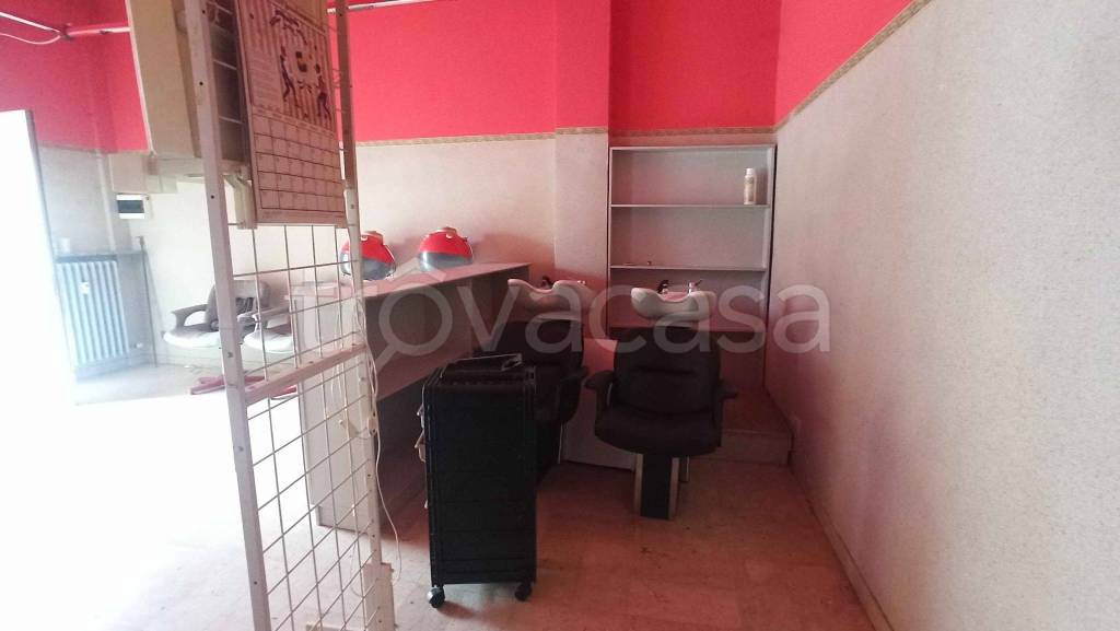 immagine annuncio 5 di 14