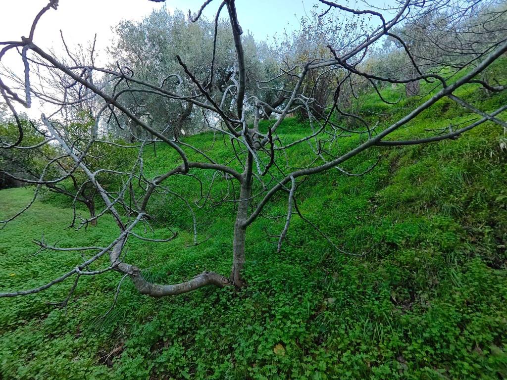 immagine annuncio 5 di 9