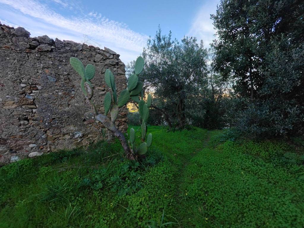 immagine annuncio 6 di 9