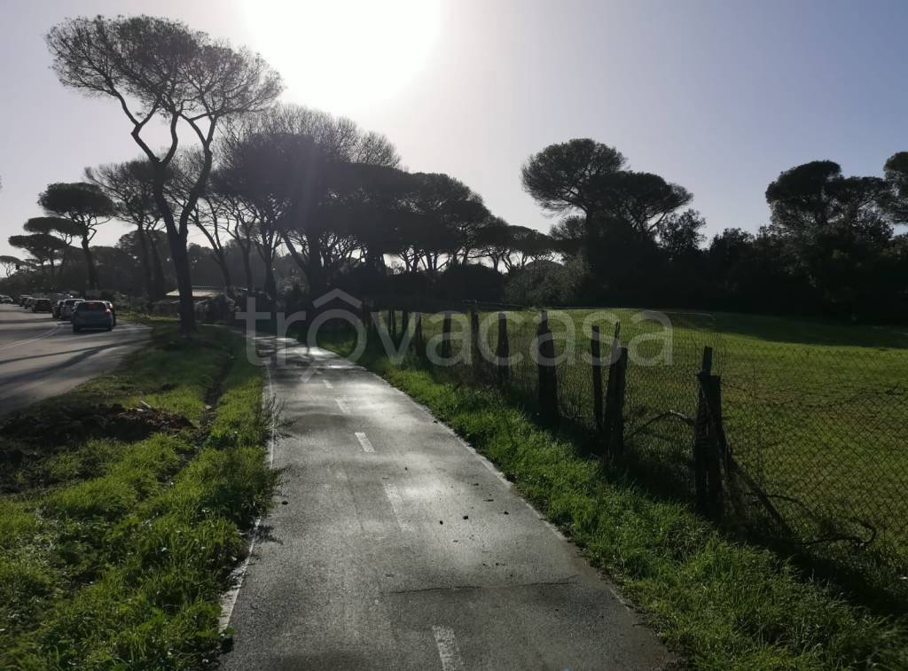 Terreno Agricolo in affitto a Roma via di Castel Fusano, 160