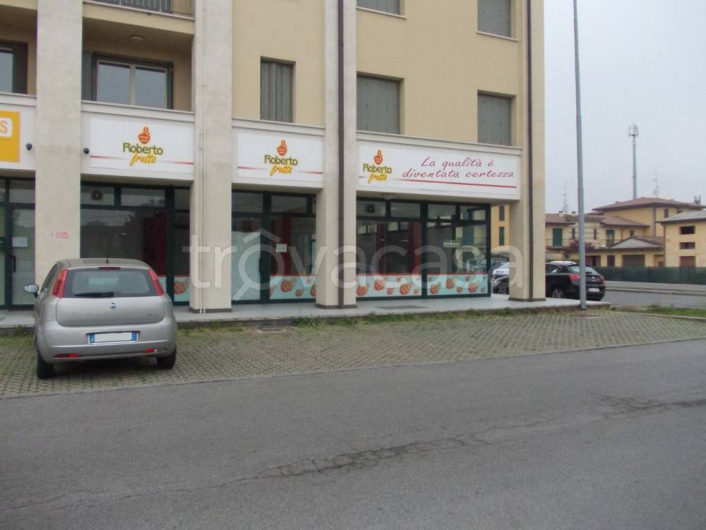 immagine annuncio 2 di 7