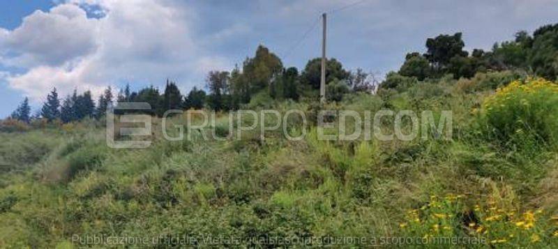 Terreno Agricolo in vendita a Catanzaro via Faenta
