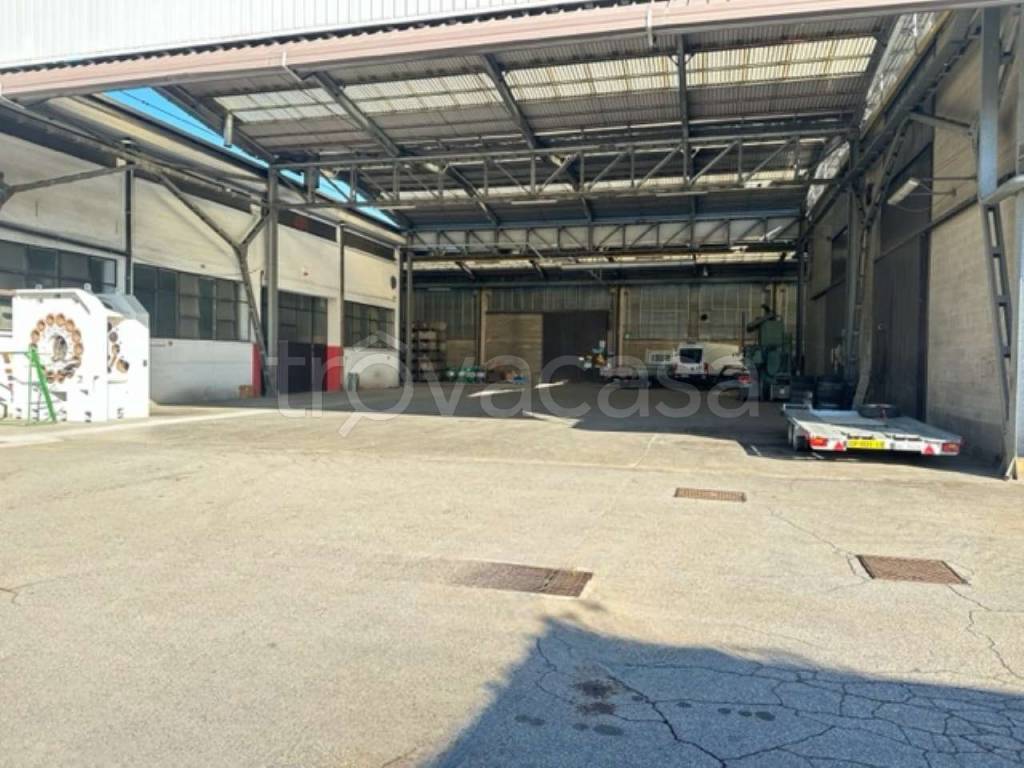 immagine annuncio 9 di 15
