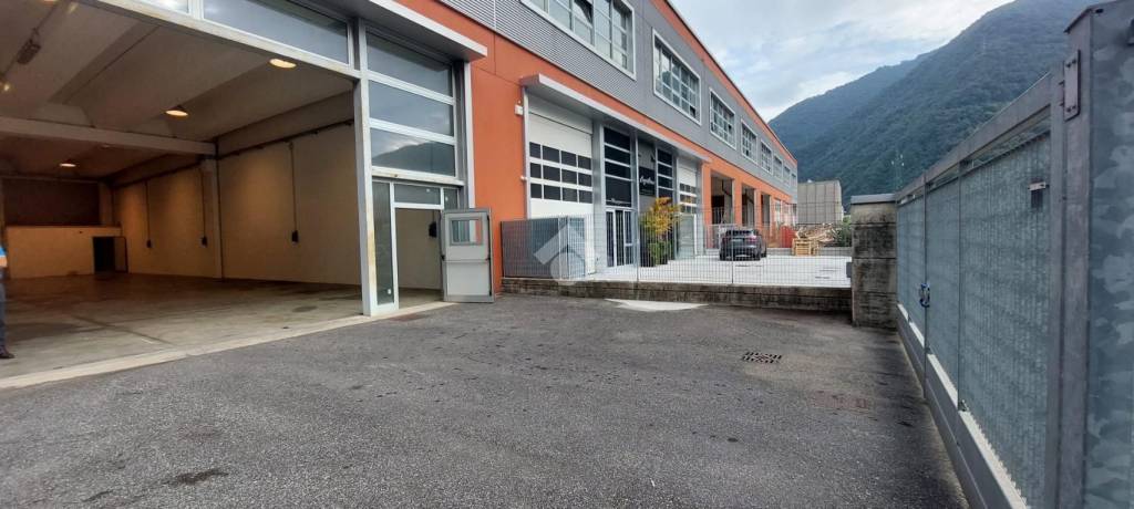 immagine annuncio 8 di 15