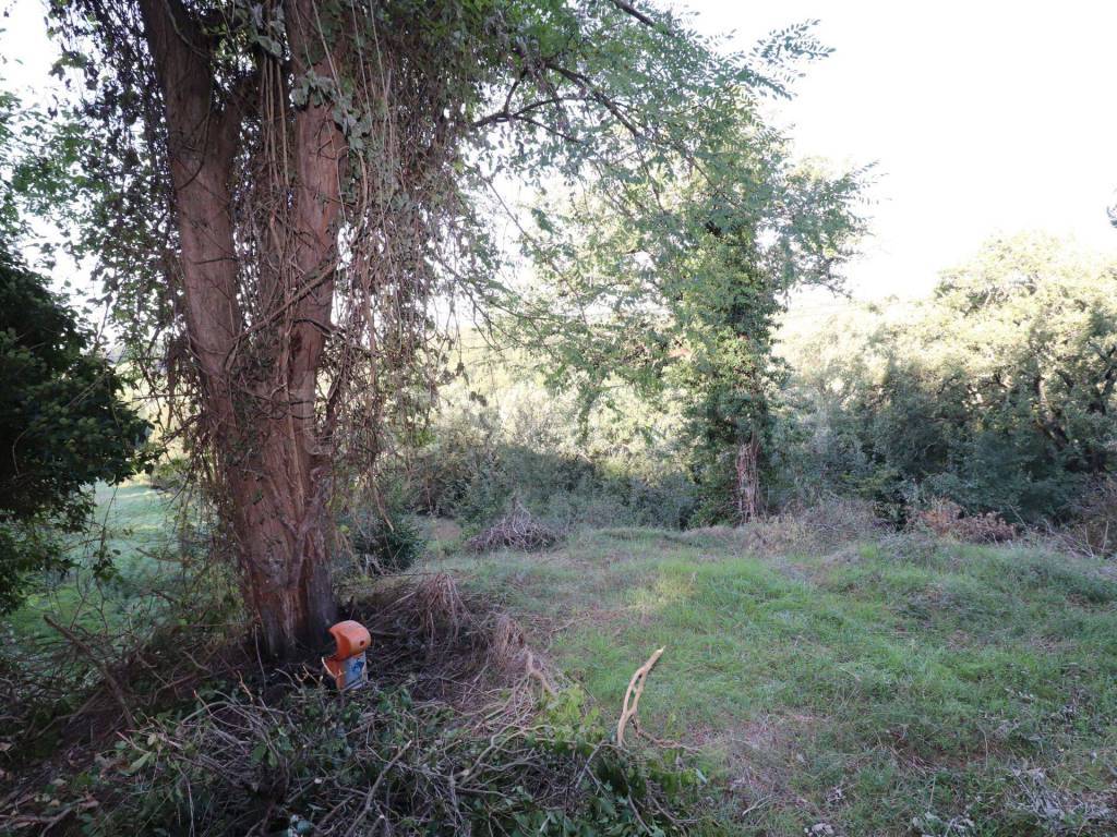 immagine annuncio 8 di 14