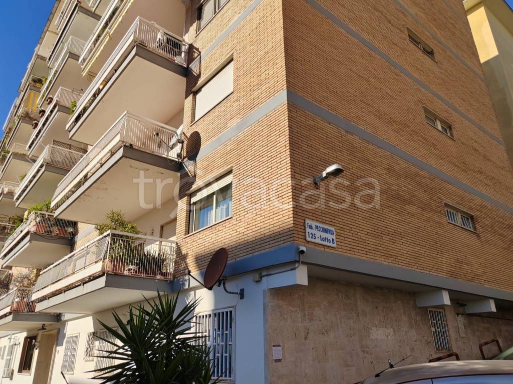 Appartamento in in affitto da privato a Napoli via San Giacomo dei Capri, 125