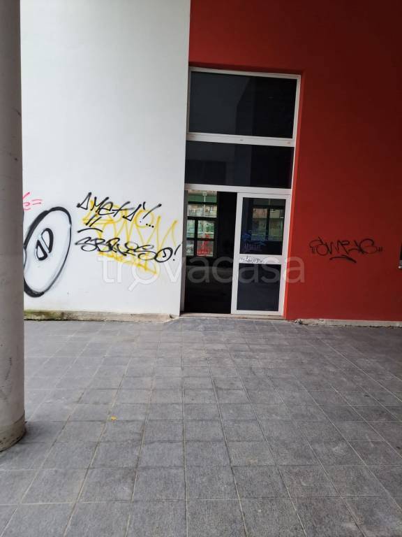 immagine annuncio 8 di 14
