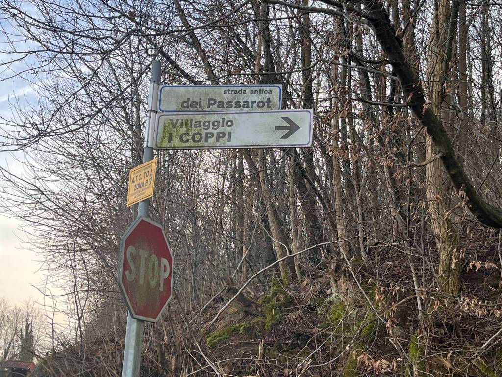 immagine annuncio 8 di 11