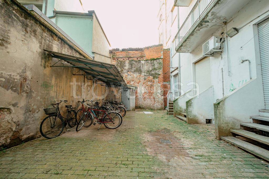 immagine annuncio 12 di 14