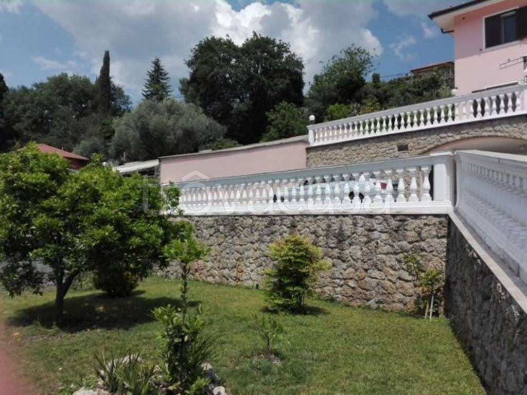 immagine annuncio 2 di 13
