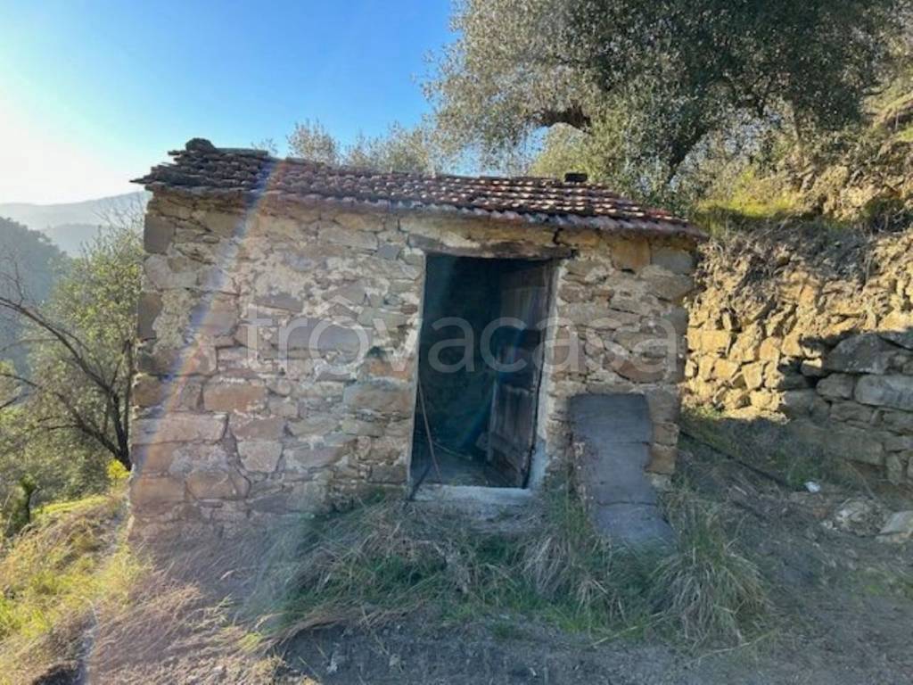 immagine annuncio 4 di 14