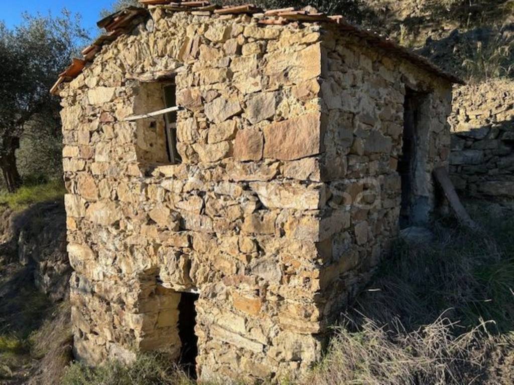 immagine annuncio 6 di 14