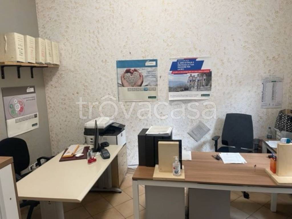 immagine annuncio 5 di 14