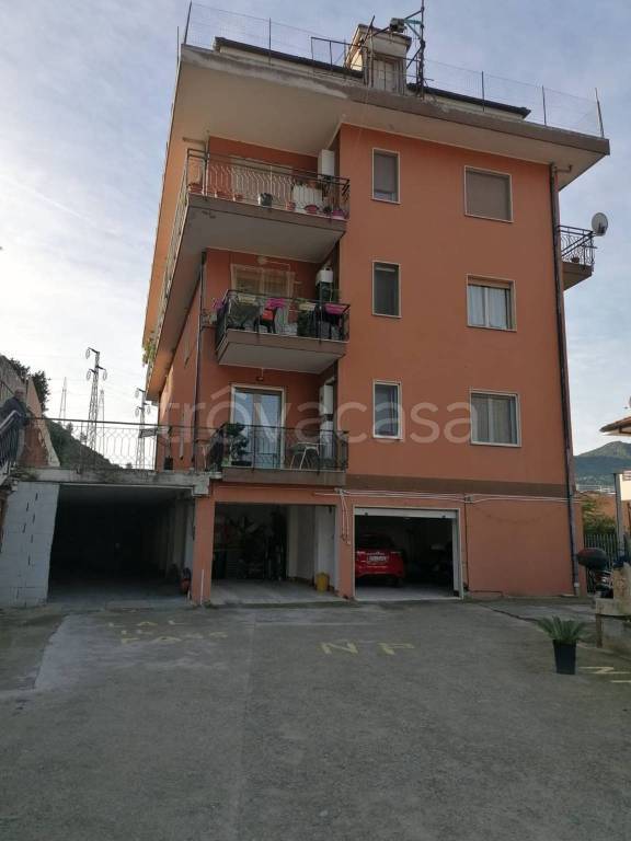 immagine annuncio 4 di 14