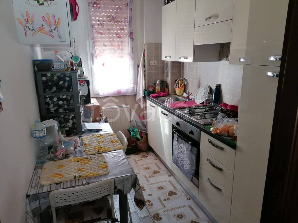 immagine annuncio 9 di 14