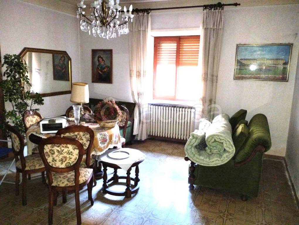 immagine annuncio 9 di 14