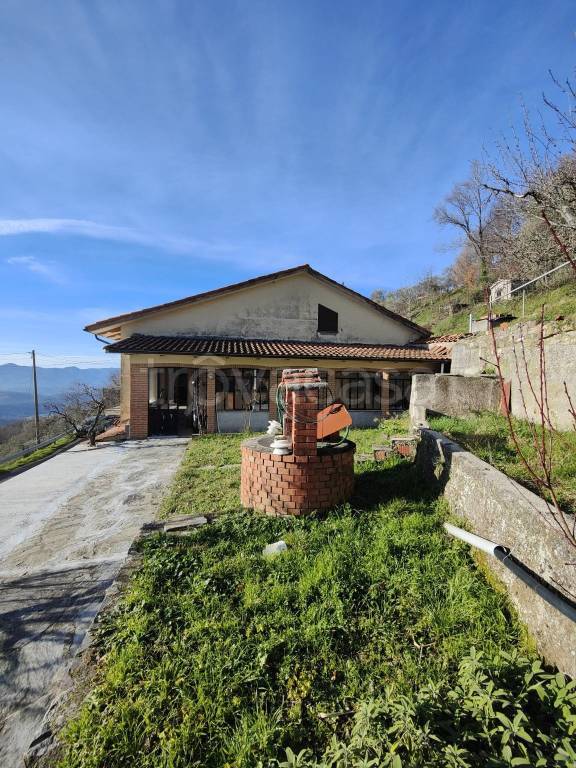 immagine annuncio 11 di 14