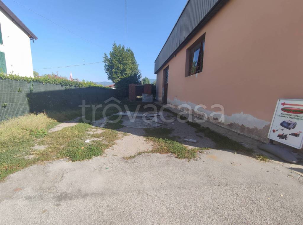 immagine annuncio 6 di 11