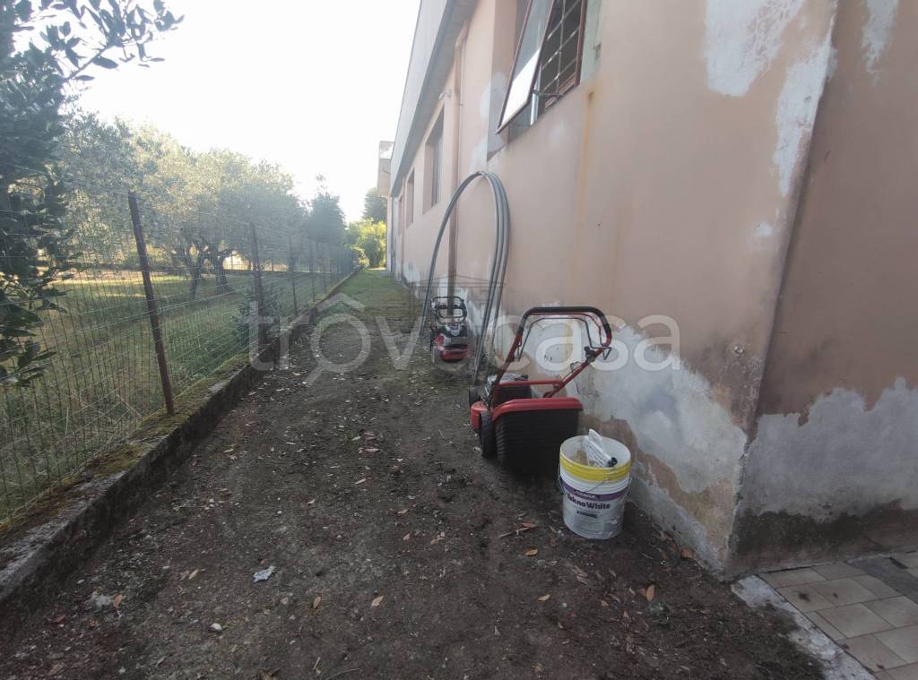 immagine annuncio 9 di 11