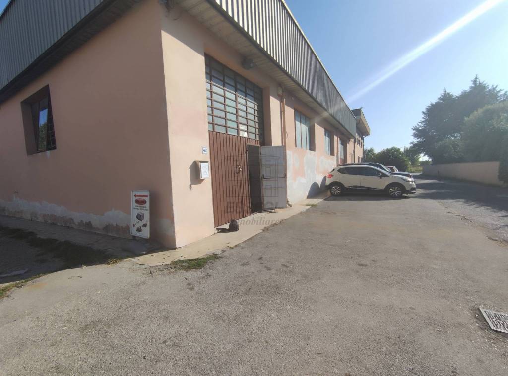 immagine annuncio 10 di 11