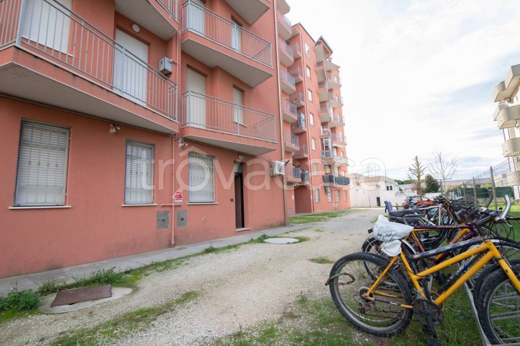 immagine annuncio 8 di 9