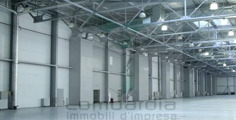 immagine annuncio 4 di 11