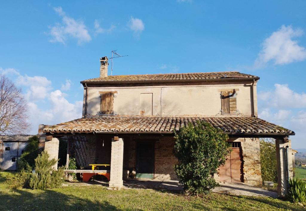 immagine annuncio 3 di 12