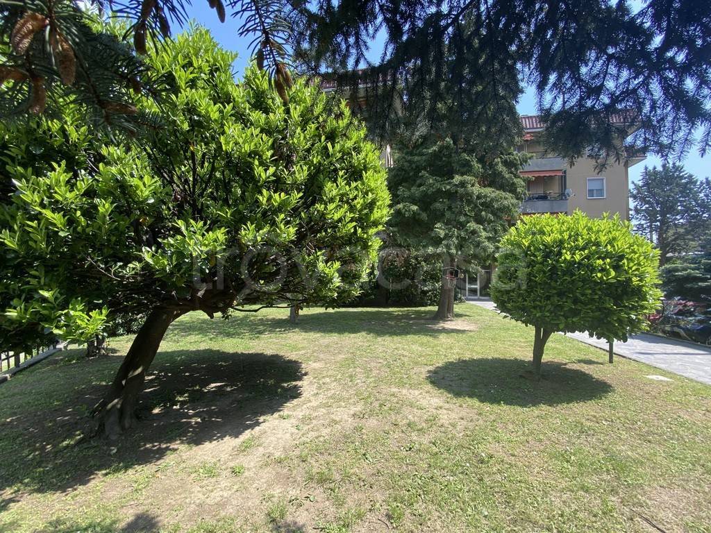 immagine annuncio 1 di 13