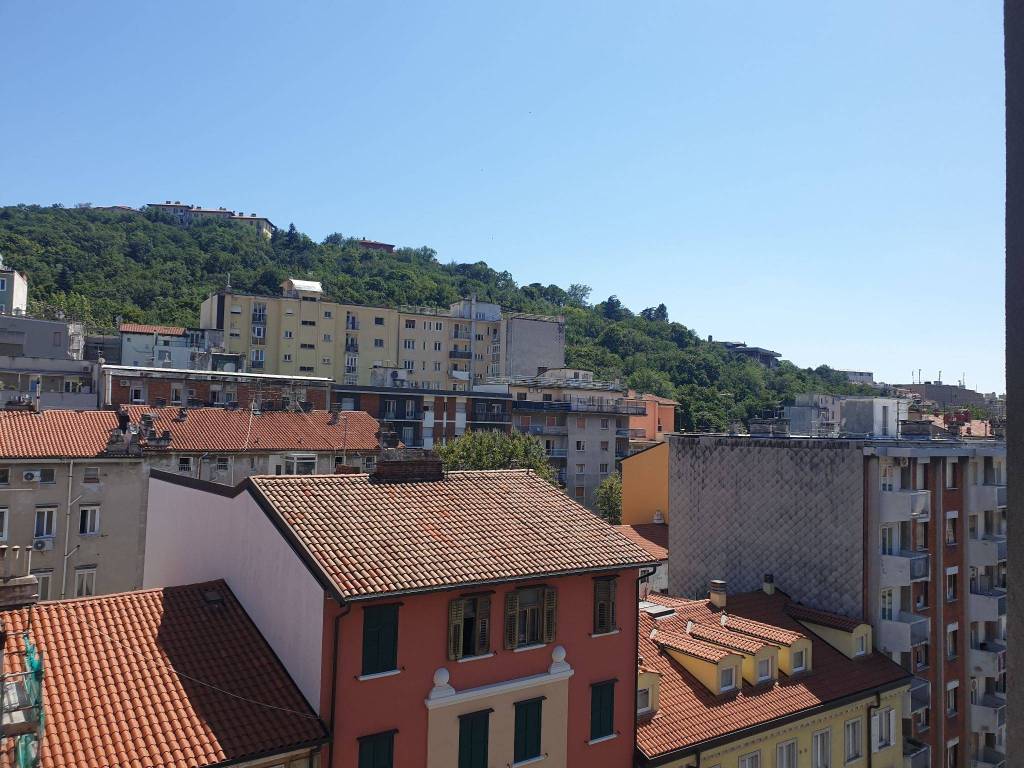 Appartamento in in vendita da privato a Trieste via Zeffirino Pisoni, 2