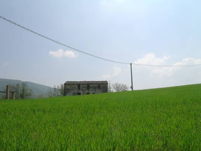 immagine annuncio 7 di 11
