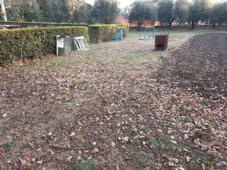 immagine annuncio 2 di 4