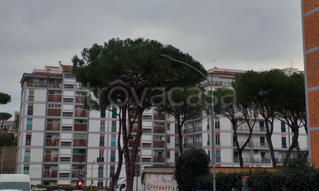 Appartamento in vendita a Roma via Gabrio Casati, 43