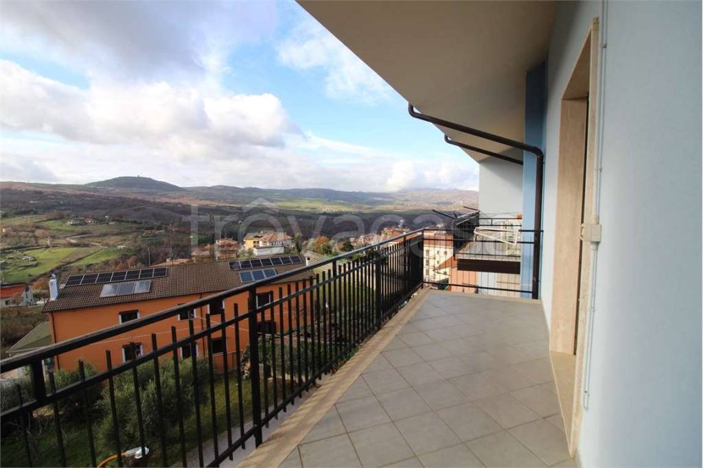 immagine annuncio 11 di 13