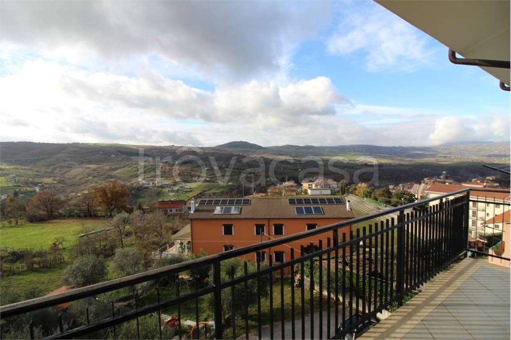 immagine annuncio 12 di 13