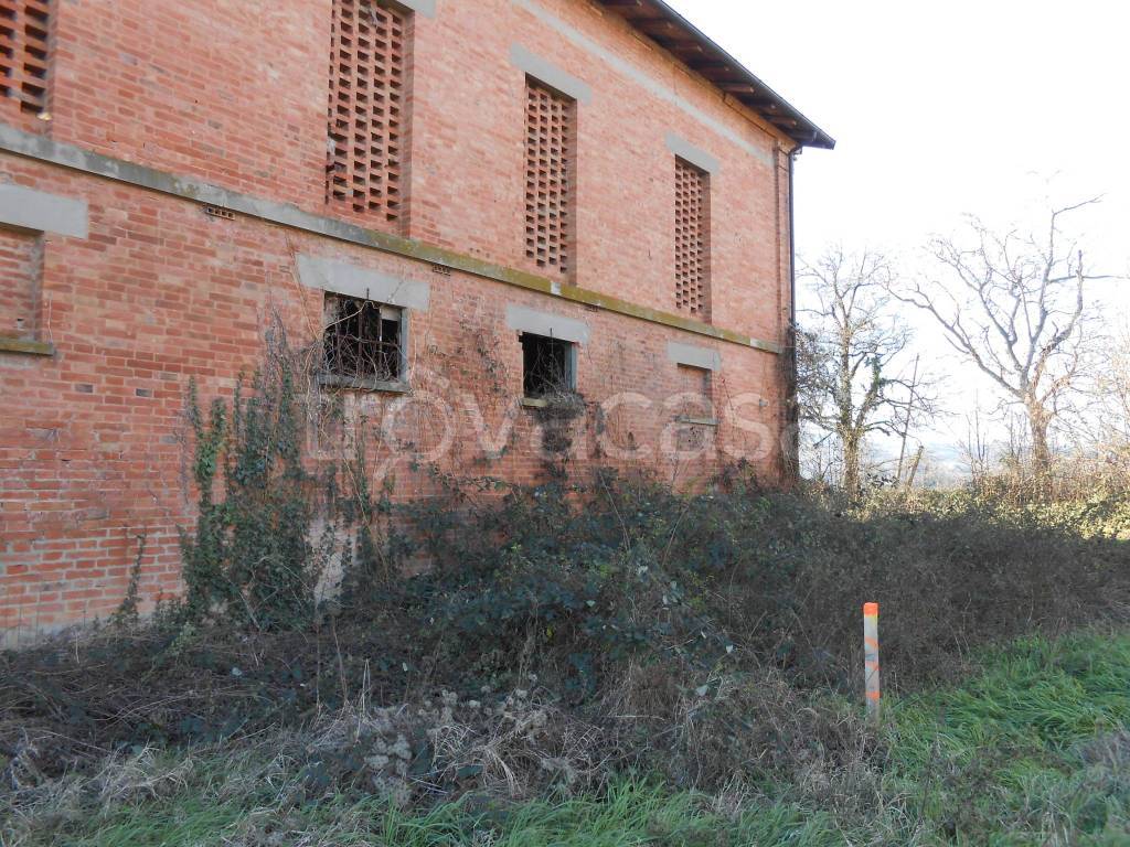 immagine annuncio 3 di 6